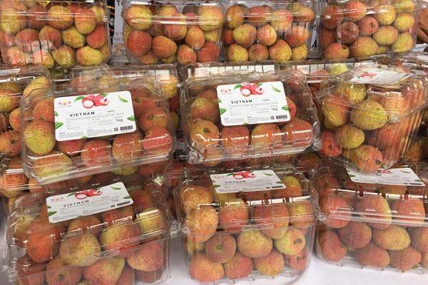 Chi bộ 7 - Đảng bộ 79KING - Link Vào Nhà Cái 79King Chính Thức Mới Nhất tổ......